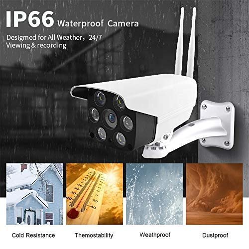 IP CAMERA