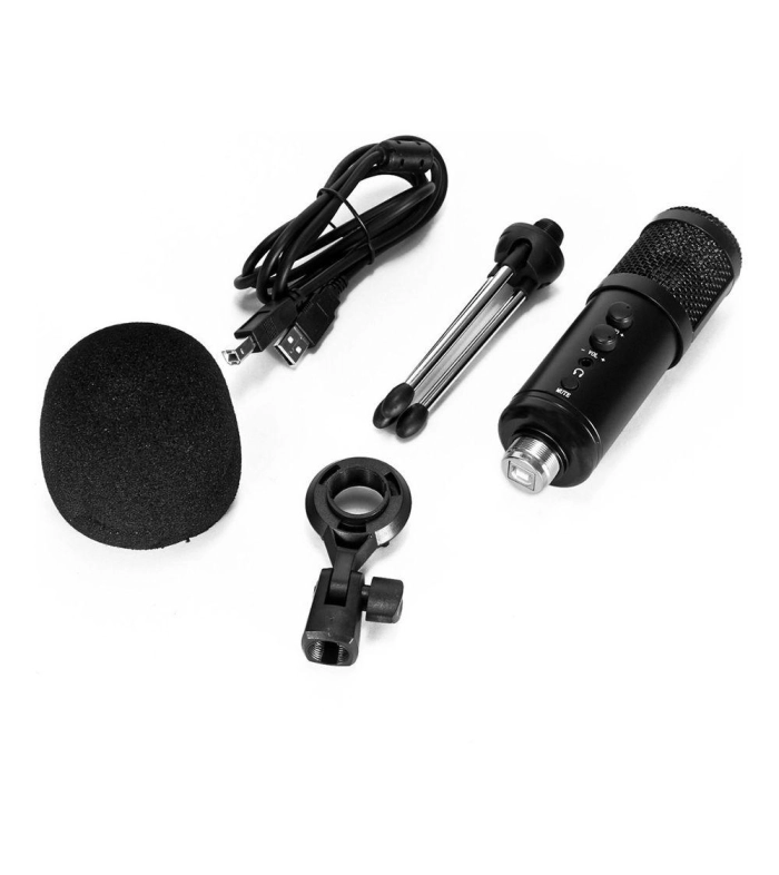 wired microphone 