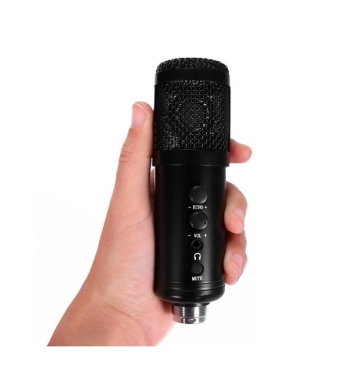 wired microphone 