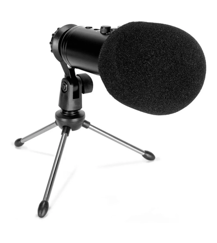 wired microphone 